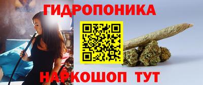 гашик Лесосибирск