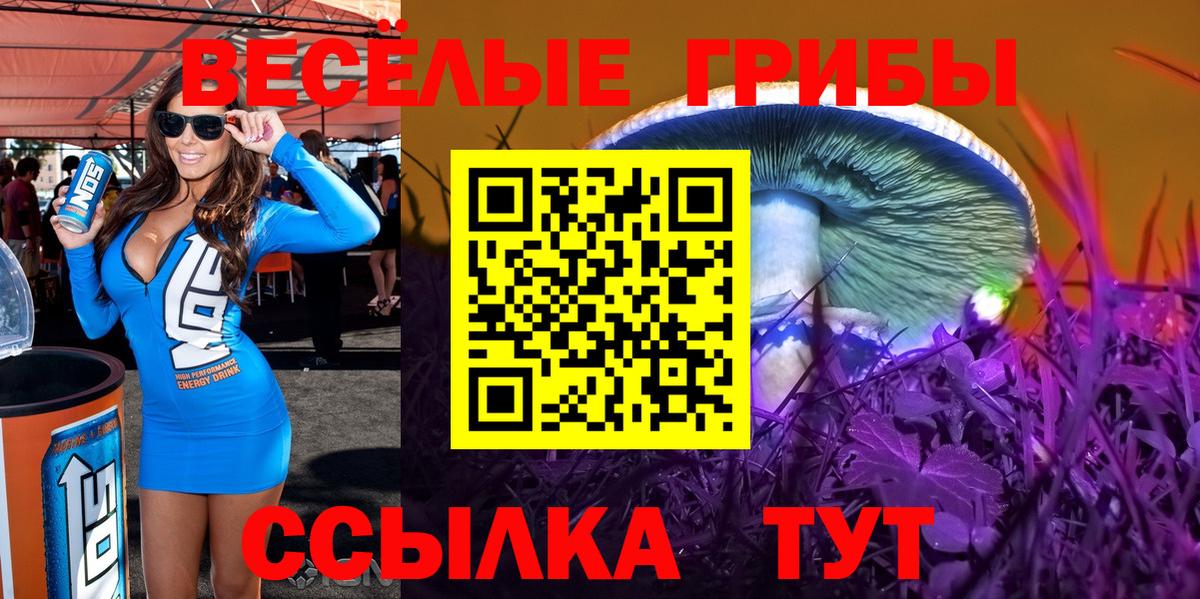 Златоуст  Галлюциногенные грибы MAGIC MUSHROOMS  Вход с VPN 